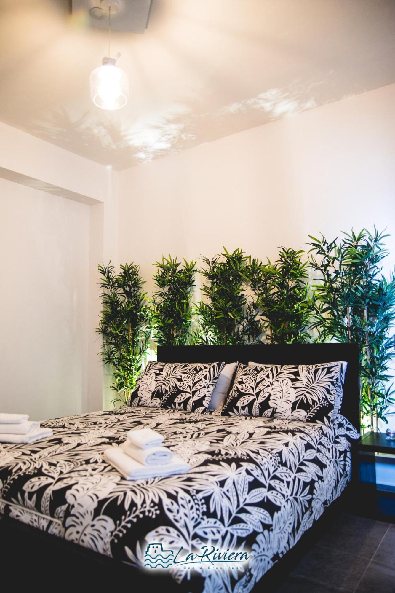 Bed and Breakfast La Riviera Scalea Esterno foto